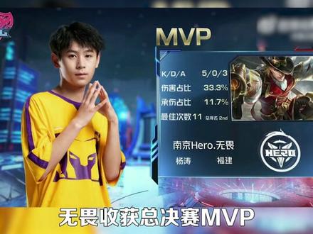 职业生涯的 职业生涯的