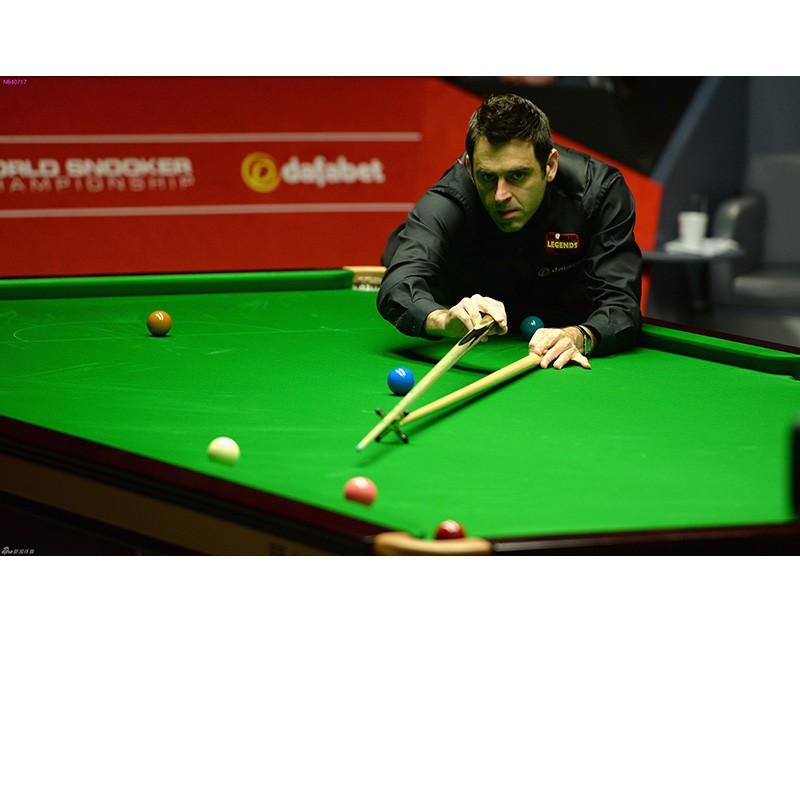 她不仅为比 她不仅为比