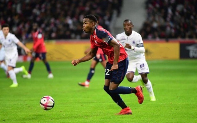 競技層面上 競技層面上